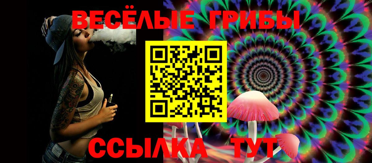 Гусев  Псилоцибиновые грибы Psilocybe  Вход с VPN 